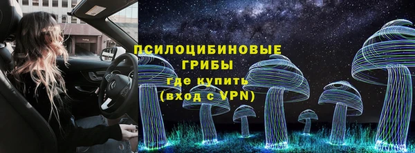 дурь Аркадак